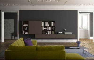 Matt Finish Book Shelf And Display Shelf For Living Room