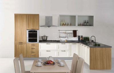 Nice Design PVC Kitchen Cabinets